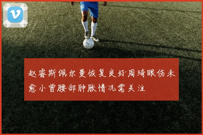 赵睿斯佩尔曼恢复良好周琦眼伤未愈小曾腰部肿胀情况需关注