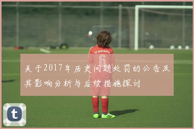 关于2017年历史问题处罚的公告及其影响分析与后续措施探讨